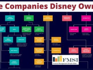 Who Owns Disney? Examining the Major Shareholders of the Entertainment Conglomerate